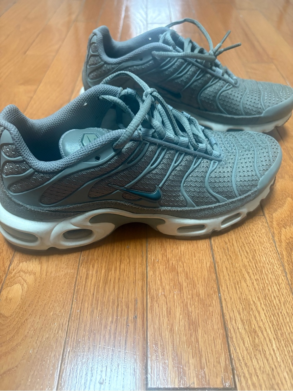 Nike Women’s Air Max Plus Sneakers
